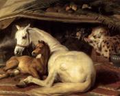 The Arab Tent - 埃德温·亨利·兰德希尔爵士